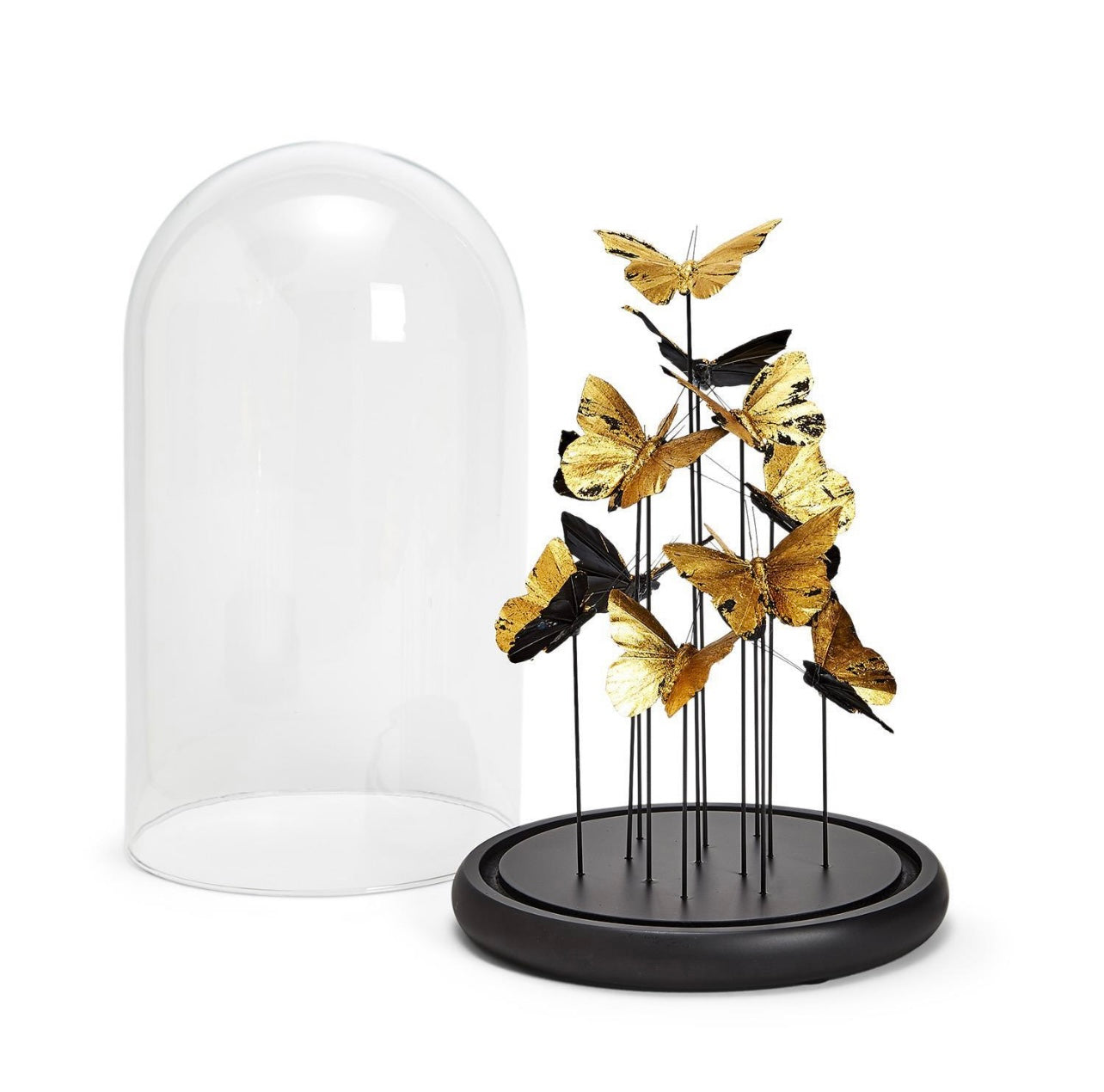 Golden Butterflies in Dome